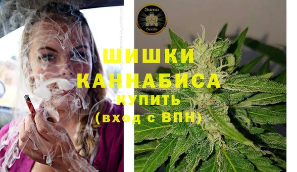 ГАЛЛЮЦИНОГЕННЫЕ ГРИБЫ Медногорск