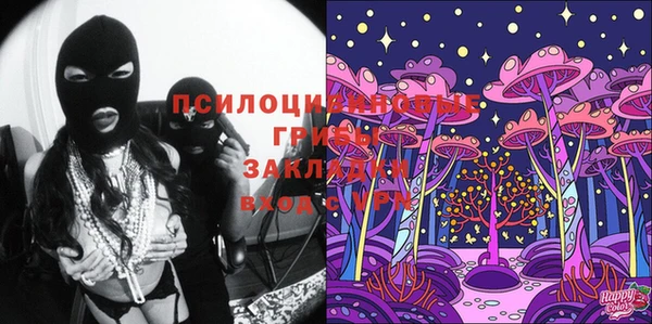 твердый Магас