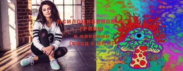 скорость Ладушкин