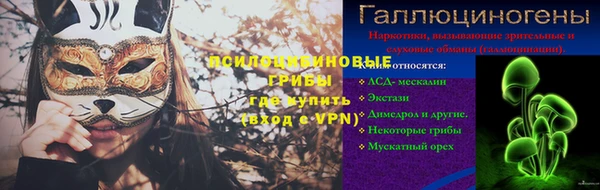 твердый Магас