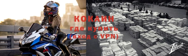 твердый Магас