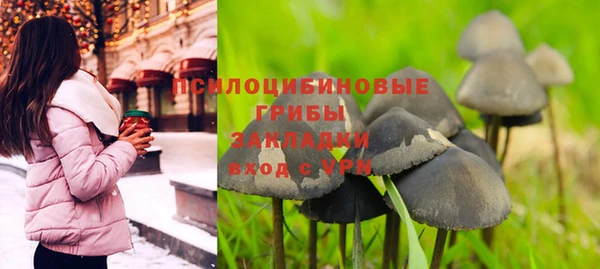стафф Майский