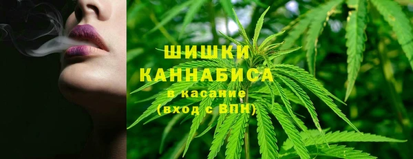 ГАЛЛЮЦИНОГЕННЫЕ ГРИБЫ Медногорск