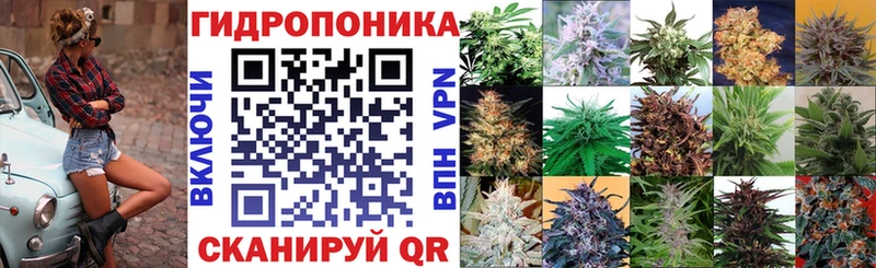 Канабис OG Kush Удачный